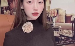 女主播不雅视频